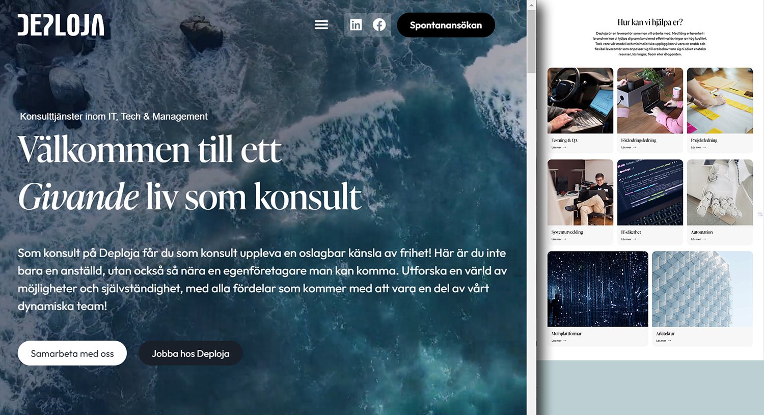 Hemsida_konsult_portfolio 1